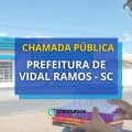 Prefeitura de Vidal Ramos – SC abre chamada pública