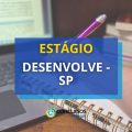 Desenvolve SP abre edital de estágio; bolsa de R$ 1,6 mil