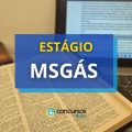 Estágio MSGÁS: vagas para Campo Grande e Três Lagoas