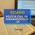 Vagas de estágio na Polícia Civil de Fernandópolis – SP