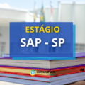 SAP – SP abre processo seletivo de estágio com 45 vagas