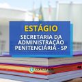 Secretaria da Administração Penitenciária - SP: seleção de estágio