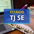 TJ SE abre mais de 120 vagas em novo edital de estágio