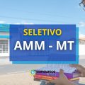 AMM – MT lança edital de processo seletivo simplificado