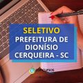 Prefeitura de Dionísio Cerqueira – SC divulga seletivo