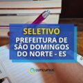 Prefeitura de São Domingos do Norte – ES abre seletivo