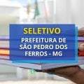 Prefeitura de São Pedro dos Ferros – MG: 124 vagas