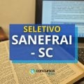 Seleção do SANEFRAI – SC: vencimentos de até R$ 6.210