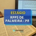 Seleção do RPPS de Palmeira - PR tem vaga para estágio