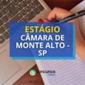 Câmara de Monte Alto – SP publica edital de estágio