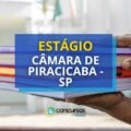 Câmara de Piracicaba – SP paga R$ 1,2 mil em estágio