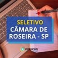 Câmara de Roseira – SP: até R$ 4,8 mil em edital de seletivo