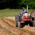 Desenrola Rural: Câmara aprova crédito especial para produtores rurais