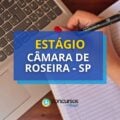 Câmara de Roseira – SP anuncia seletivo de estágio