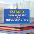 Câmara de São João Nepomuceno – MG: vagas de estágio