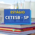 CETESB – SP publica edital de estágio; confira as vagas