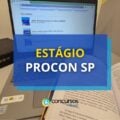 PROCON SP divulga novo processo seletivo de estágio