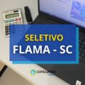 FLAMA – SC paga R$ 7,2 mil em edital de processo seletivo