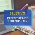 Prefeitura de Terenos – MS: vagas abertas em seletivo