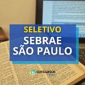 Sebrae SP abre 3.150 vagas; até R$ 6,5 mil mensais