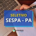 SESPA – PA paga até R$ 5,1 mil em edital de seletivo