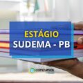 SUDEMA – PB: mais de 40 vagas de estágio em seletivo