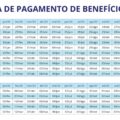 BPC de janeiro 2025: valor da parcela, consulta e calendário