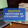 Edital da Prefeitura de Cocalinho – MT oferece 69 vagas em seletivo