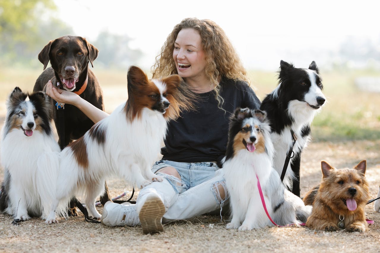 Se você fala com seu pet como se fosse humano, provavelmente tem essas 5 características