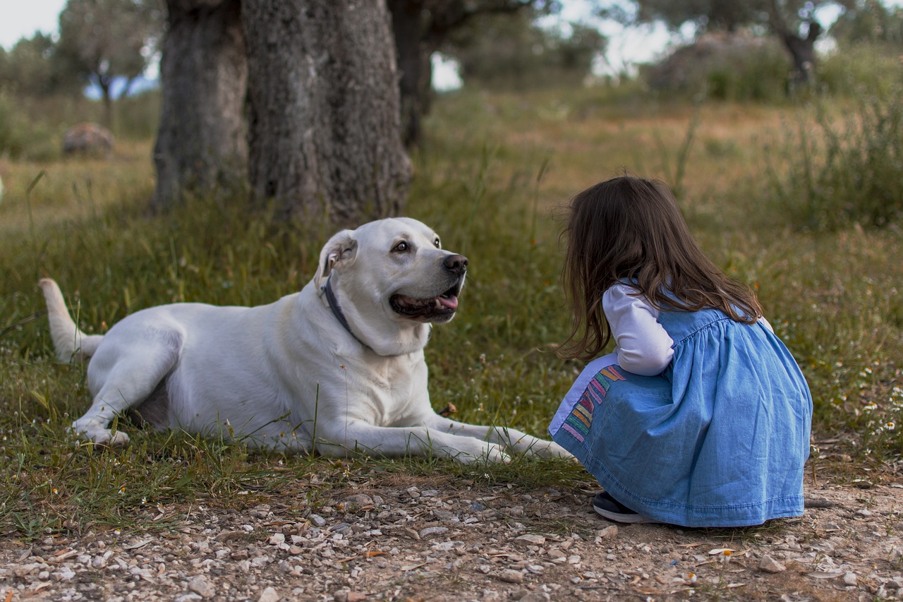 Quem conversa com pets como se fossem humanos tem essas 5 características, diz estudo