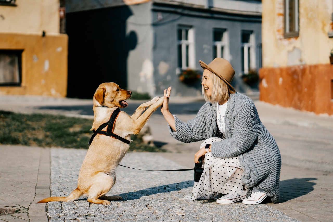 Como se chama a pessoa que conversa com animais, é normal conversar com animais, como se chamam as pessoas que se identificam com animais, o que é pet emocional.