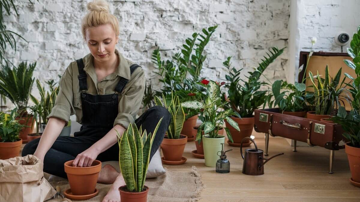 Qual a personalidade de quem gosta de plantas, o que significa gostar de plantas, porque as pessoas gostam de plantas, é verdade que as plantas têm sentimentos.