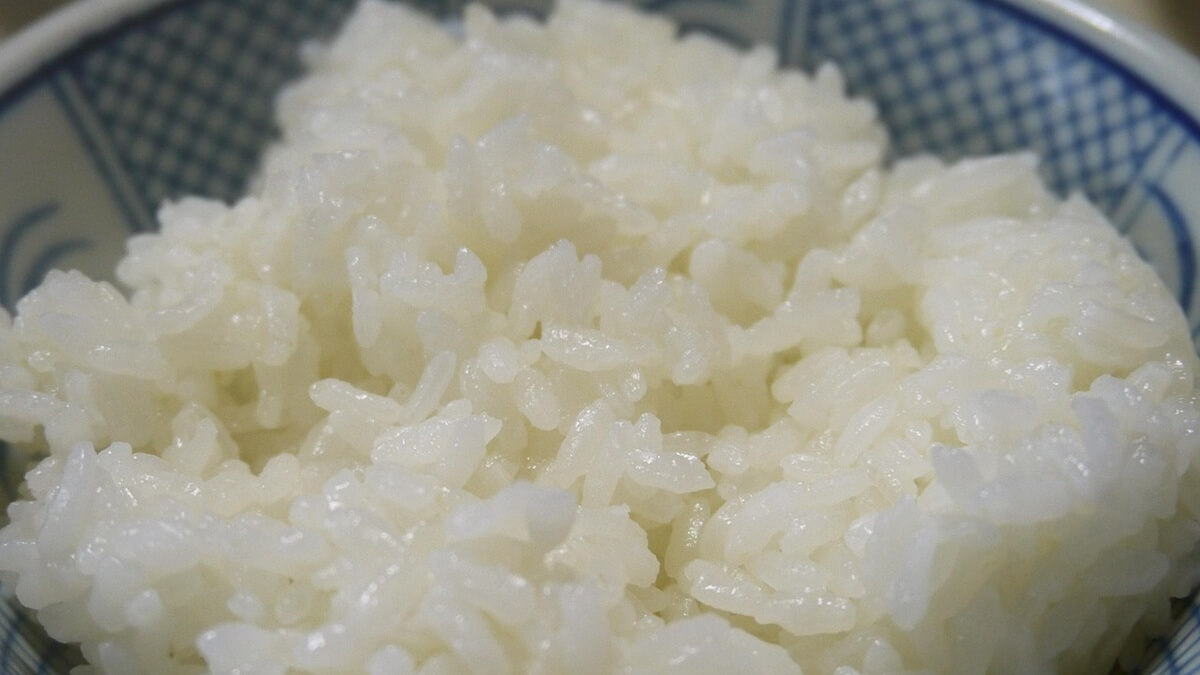 Qual é a melhor forma de fazer arroz: com água quente, fria ou morna?