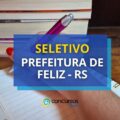 Prefeitura de Feliz – RS anuncia edital de processo seletivo