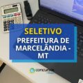 Prefeitura de Marcelândia – MT abre mais de 1.000 vagas em seletivo