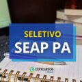 SEAP PA abre 334 vagas em edital de processo seletivo