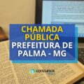 Prefeitura de Palma – MG faz chamamento público para repor vagas