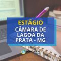 Câmara de Lagoa da Prata – MG abre estágio remunerado