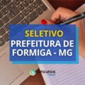 Prefeitura de Formiga – MG irá contratar em processo seletivo