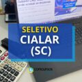 CIALAR – SC abre processo seletivo; salário de até R$ 3,9 mil