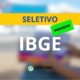 IBGE tem seletivo com 9,5 mil vagas autorizadas: edital em breve