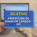 Prefeitura de Senador Canedo – GO: 92 vagas de até R$ 4,1 mil
