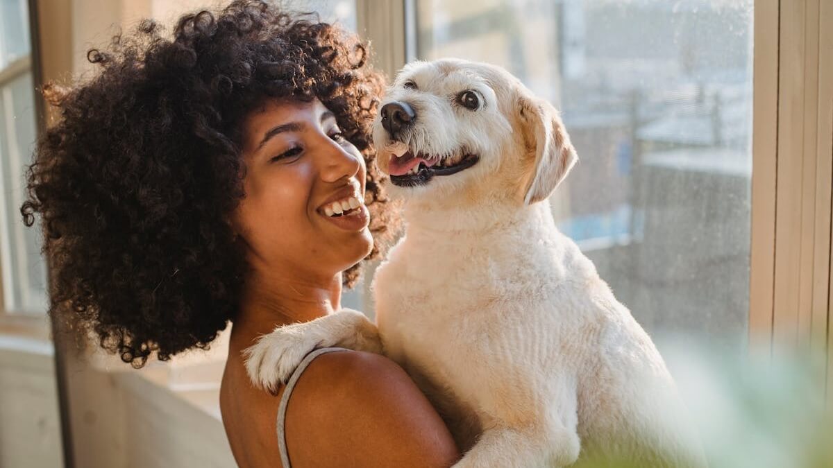 Como o cachorro escolhe o humano preferido, como o cachorro escolhe seu dono favorito, por que os cachorros escolhem uma pessoa, como saber se sou o humano preferido do meu cachorro.