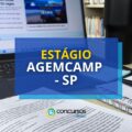 AGEMCAMP – SP abre vagas de estágio por meio de novo edital