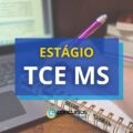 TCE MS divulga edital de estágio remunerado para nível superior