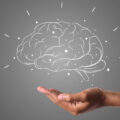 A idade que atingimos o auge da inteligência, conforme estudos