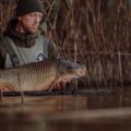 Sim, existe um peixe que pode morrer afogado – e ele é da Amazônia