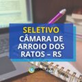 Câmara de Arroio dos Ratos – RS publica edital de seletivo