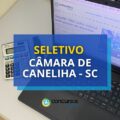 Câmara de Canelinha – SC divulga edital de processo seletivo