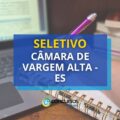 Câmara de Vargem Alta – ES divulga edital de processo seletivo